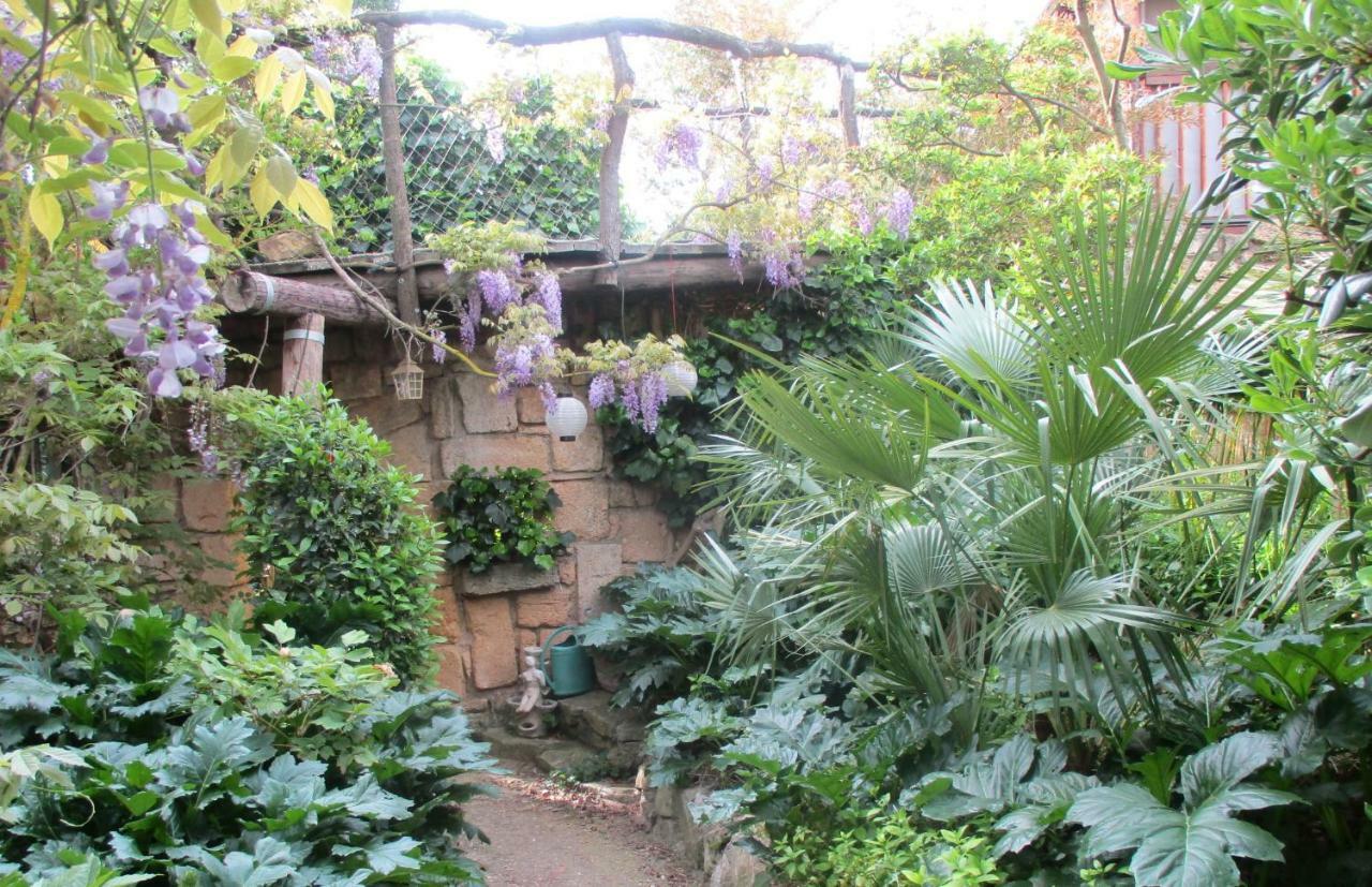 Jardin Et Bambous, Studio Cosy, Classe 2 Etoiles Marseillan  Exterior photo