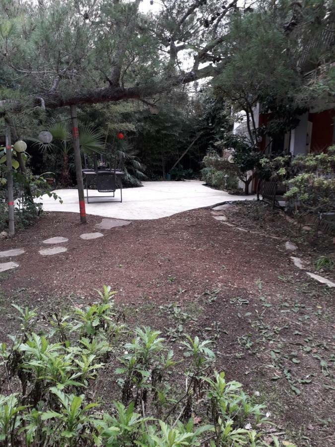 Jardin Et Bambous, Studio Cosy, Classe 2 Etoiles Marseillan  Exterior photo