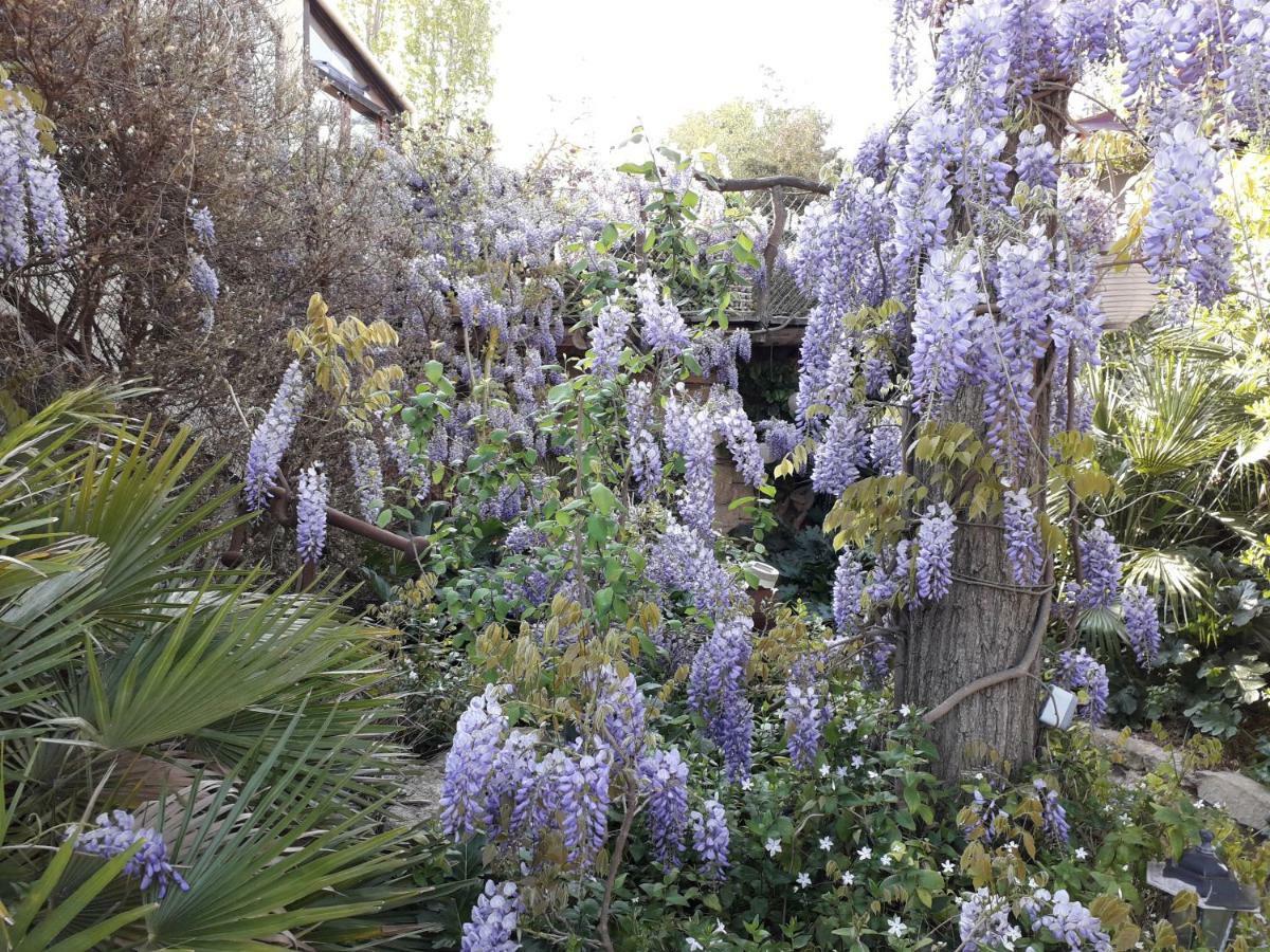 Jardin Et Bambous, Studio Cosy, Classe 2 Etoiles Marseillan  Exterior photo
